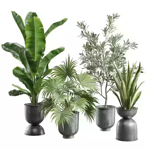 Indoor Plants Pack 95
