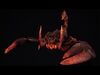 Pack of hell monsters 3D Model Collection_3