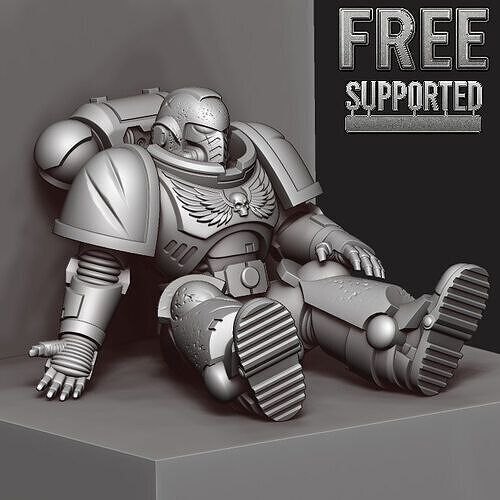 Free Fallen Brother Space Marine  Free 3D print model