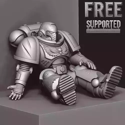 Free Fallen Brother Space Marine 