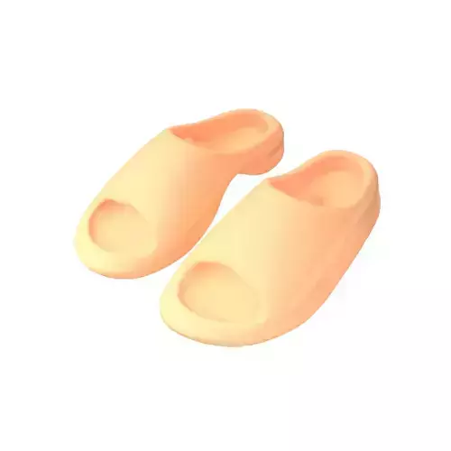 Plastic Slippers v1 004