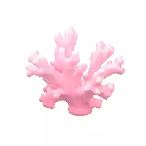 Cartoon Coral v3 001