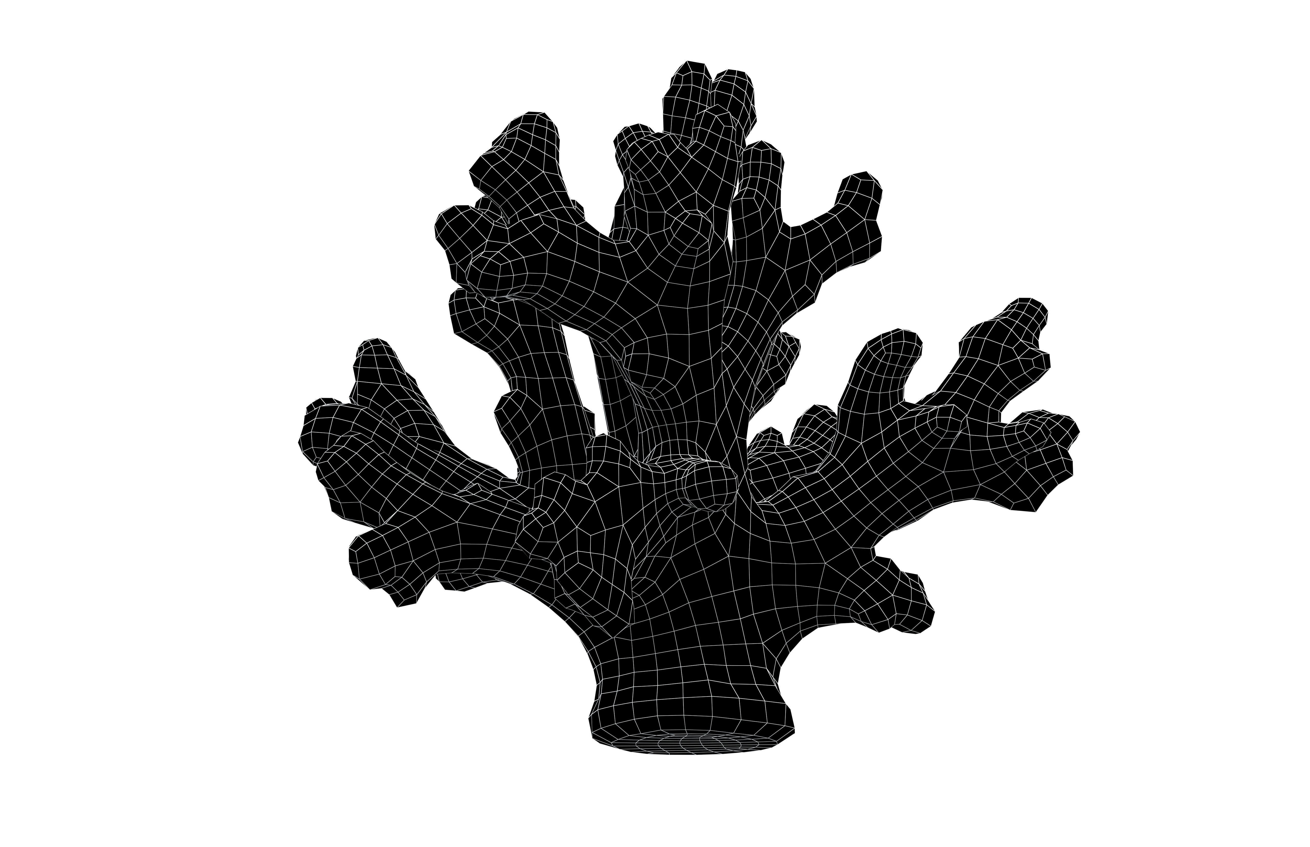 Cartoon Coral v3 002 Low-poly 3D model_7