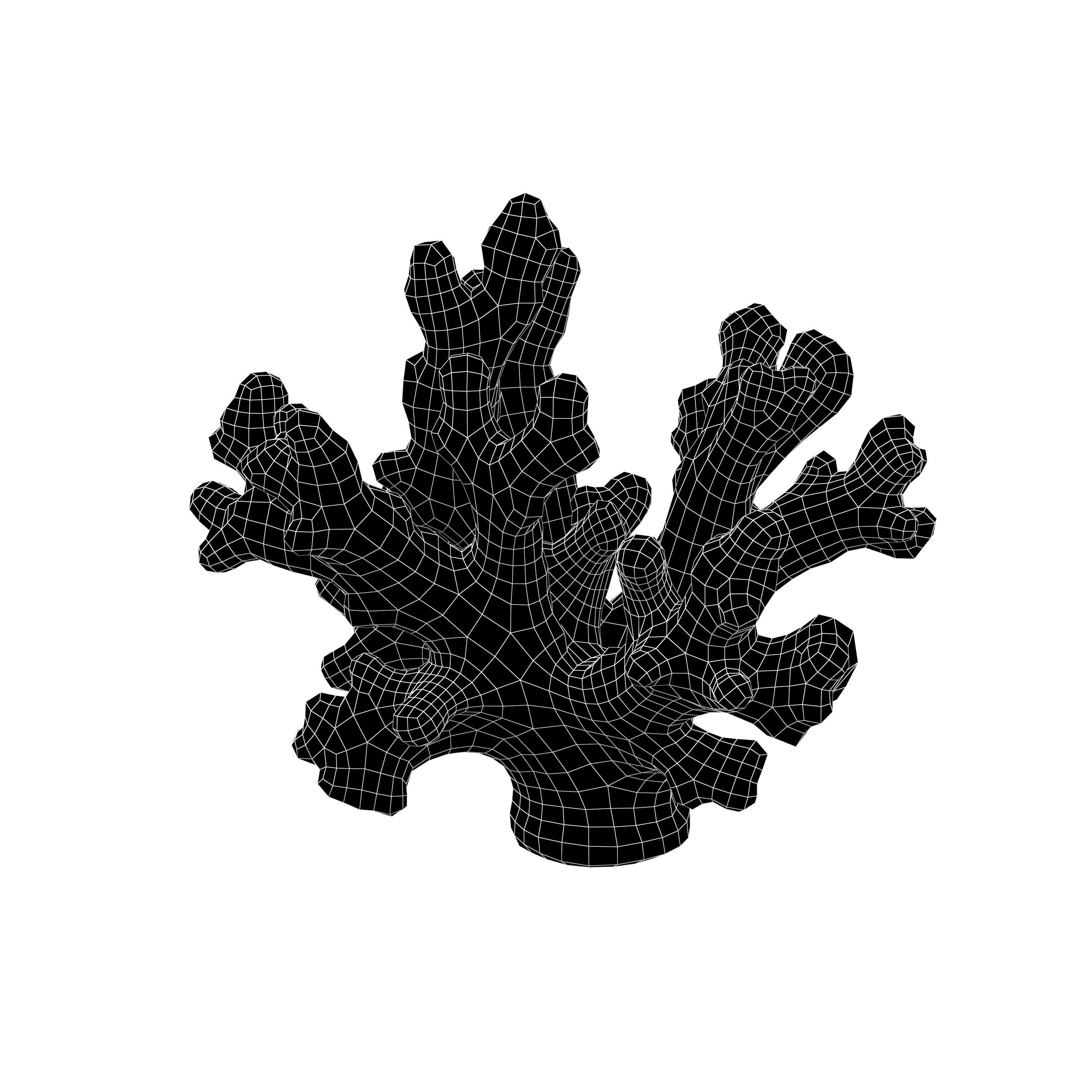 Cartoon Coral v3 002 Low-poly 3D model_4