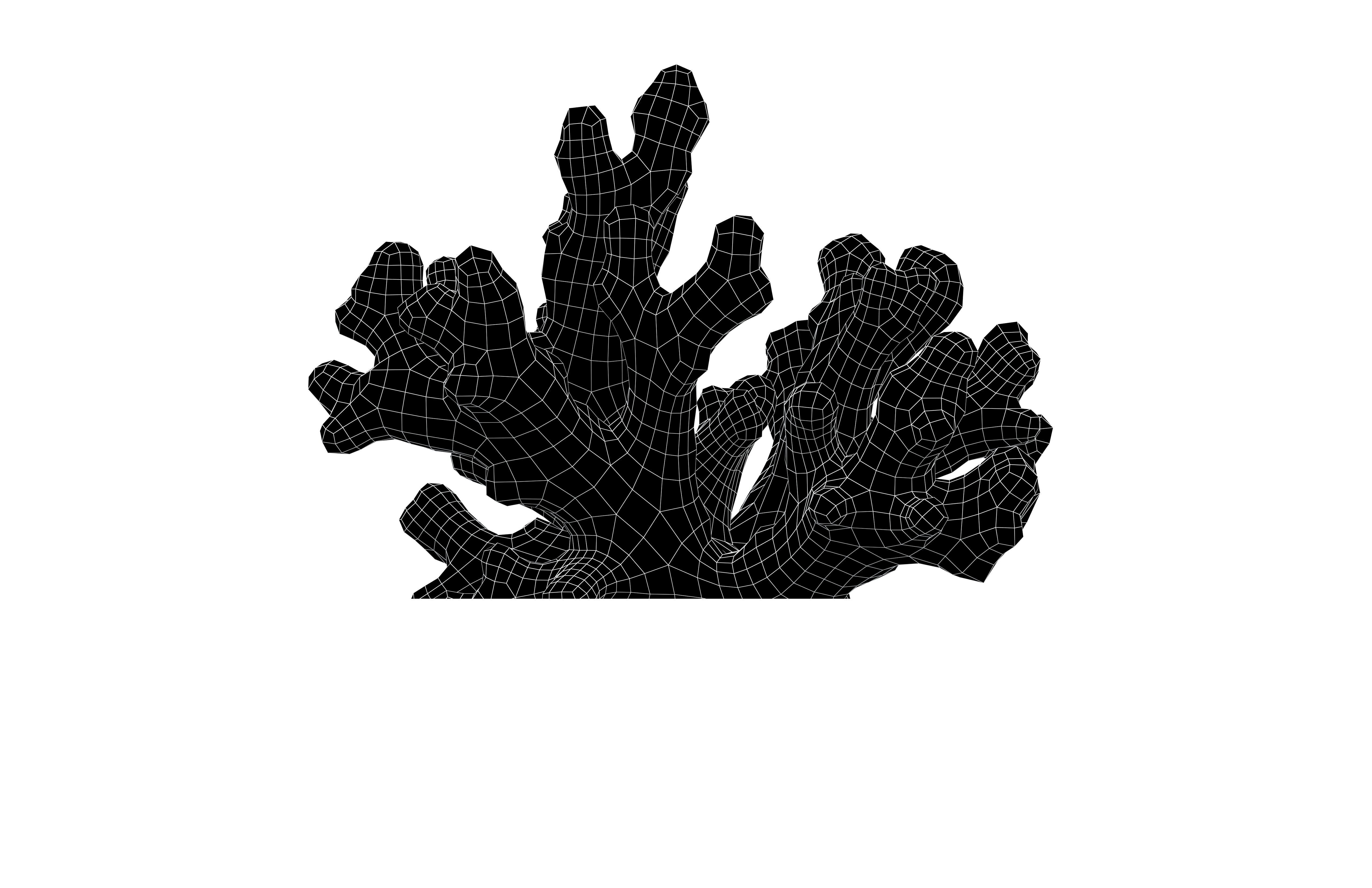 Cartoon Coral v3 002 Low-poly 3D model_5