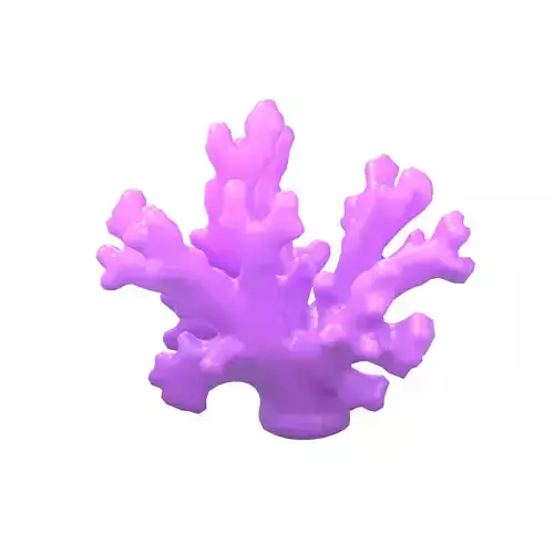 Cartoon Coral v3 003