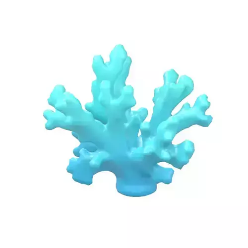 Cartoon Coral v3 004