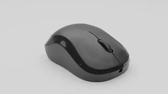 Computer Mouse