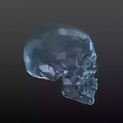 Diamonds skull 
