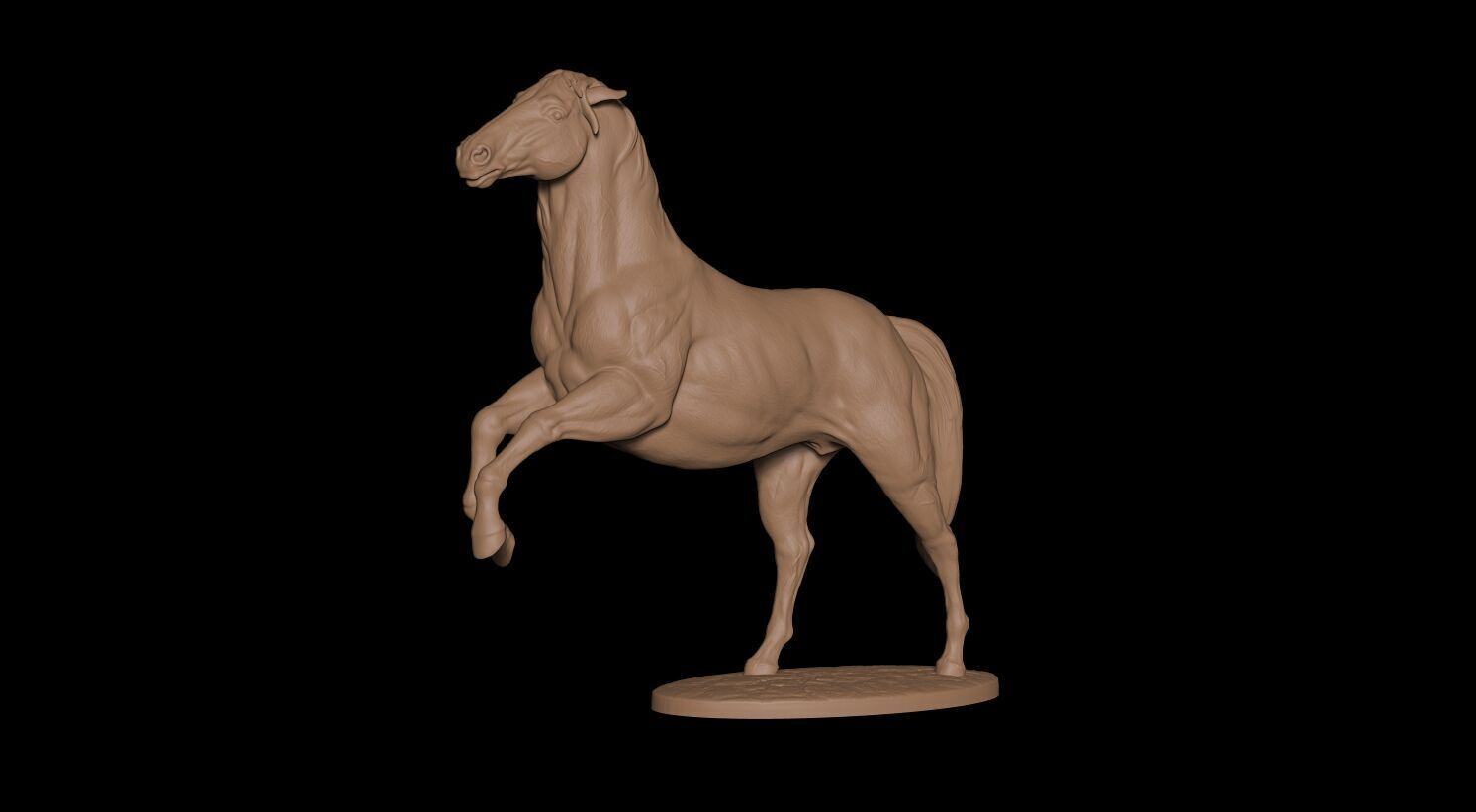 Caballo 3D print model_7