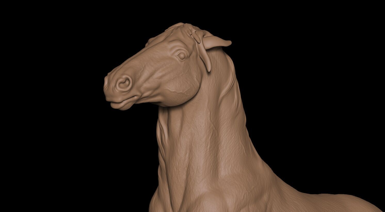 Caballo 3D print model_20