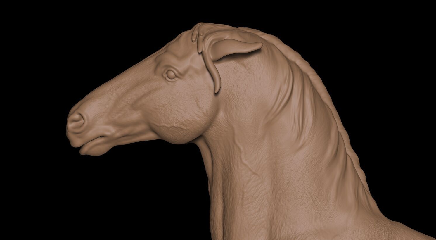 Caballo 3D print model_15
