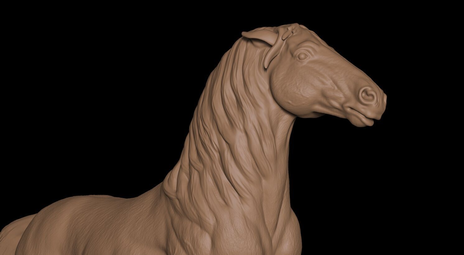 Caballo 3D print model_19
