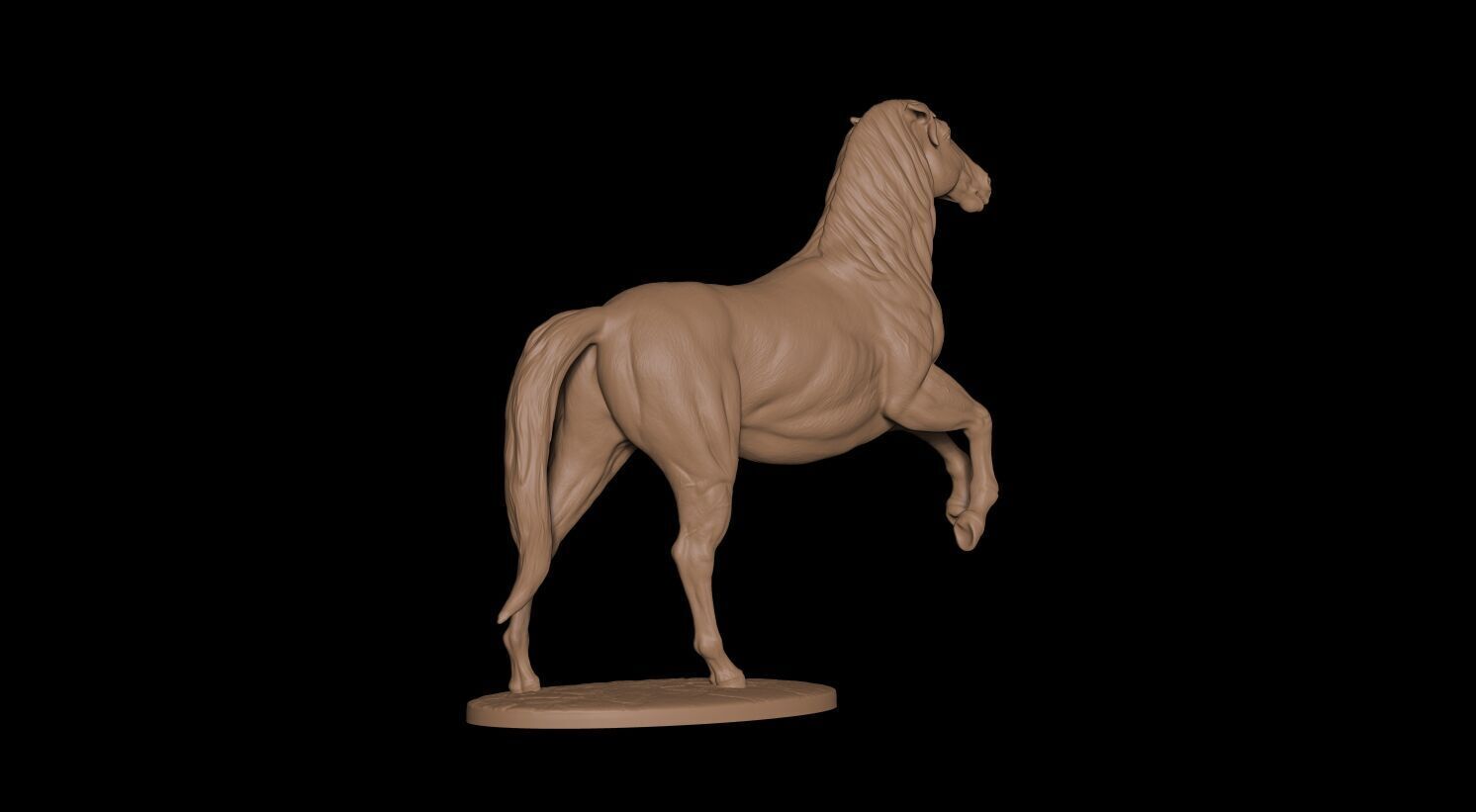 Caballo 3D print model_10