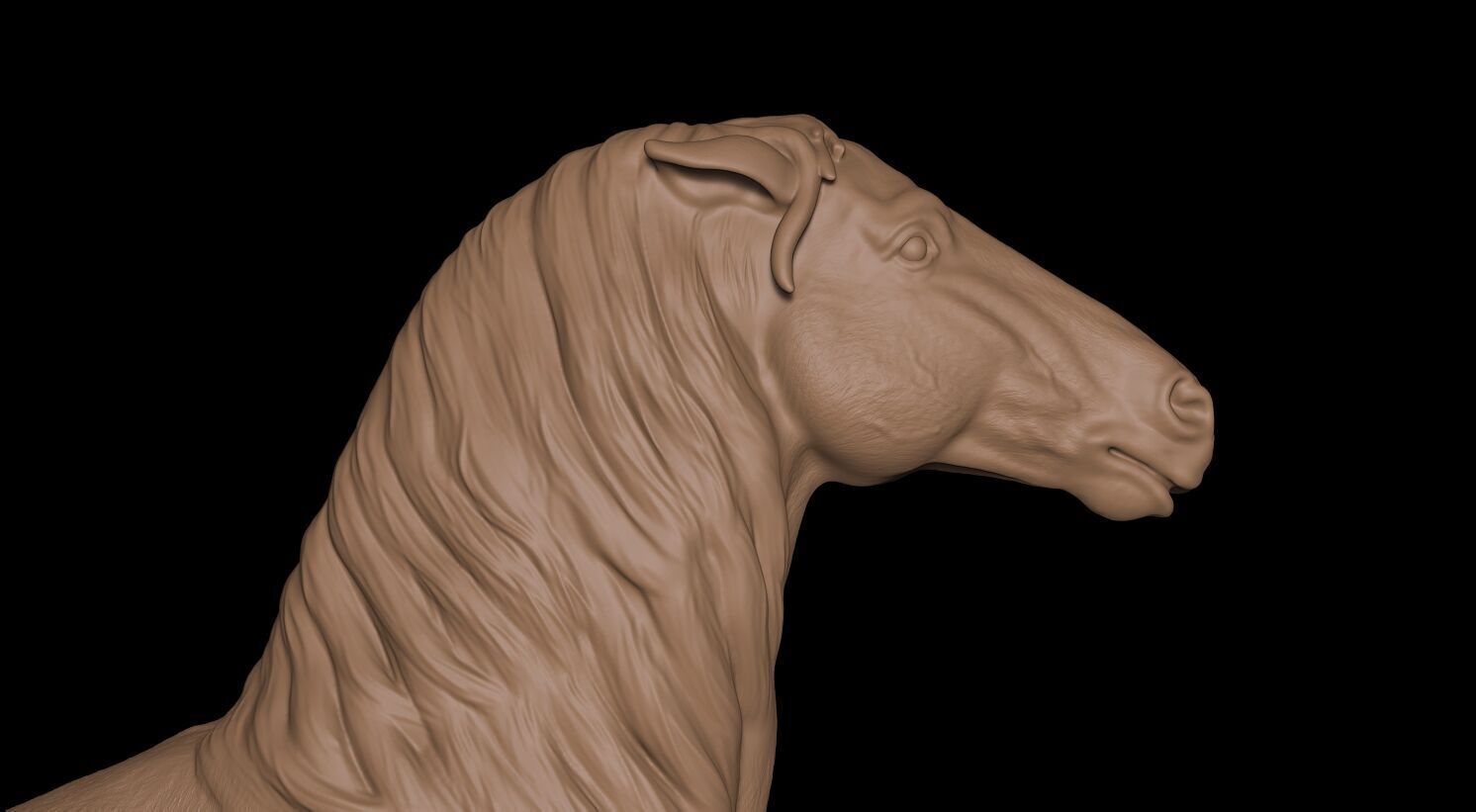 Caballo 3D print model_16