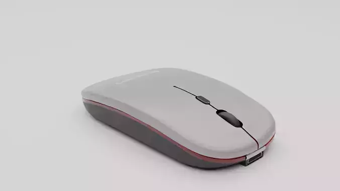 Computer Mouse