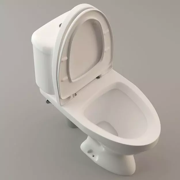 Toilet Lavatory Loo - High Poly Model 3D model_0