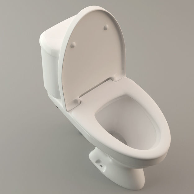 Toilet Lavatory Loo - High Poly Model 3D model_2