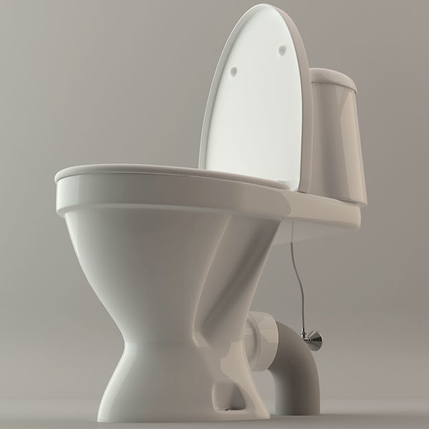 Toilet Lavatory Loo - High Poly Model 3D model_1