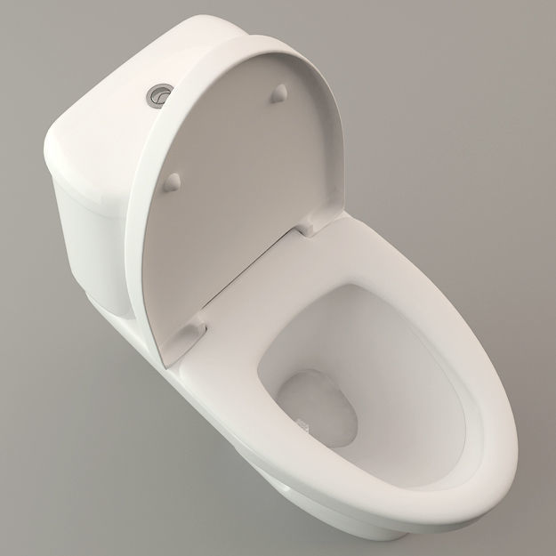 Toilet Lavatory Loo - High Poly Model 3D model_3