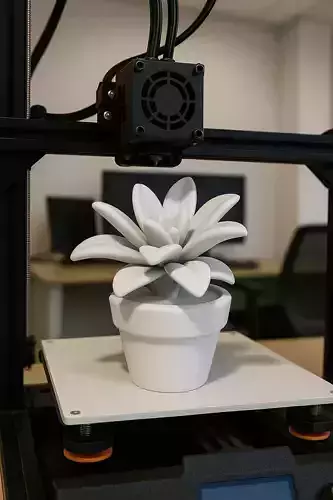 Succulent Plant in Pot 3D Printable Decorative Model