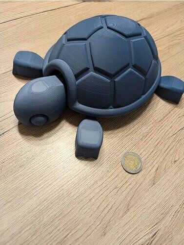 Cute articulated Turtle  3D print model