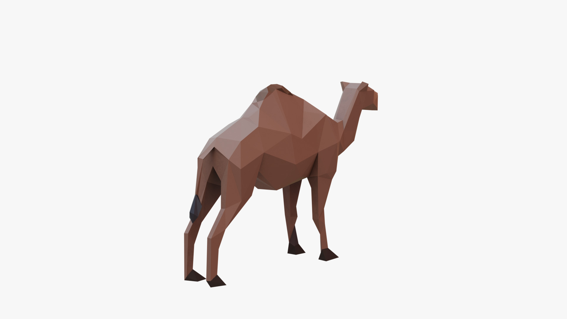 Camel low poly Low-poly 3D model_5