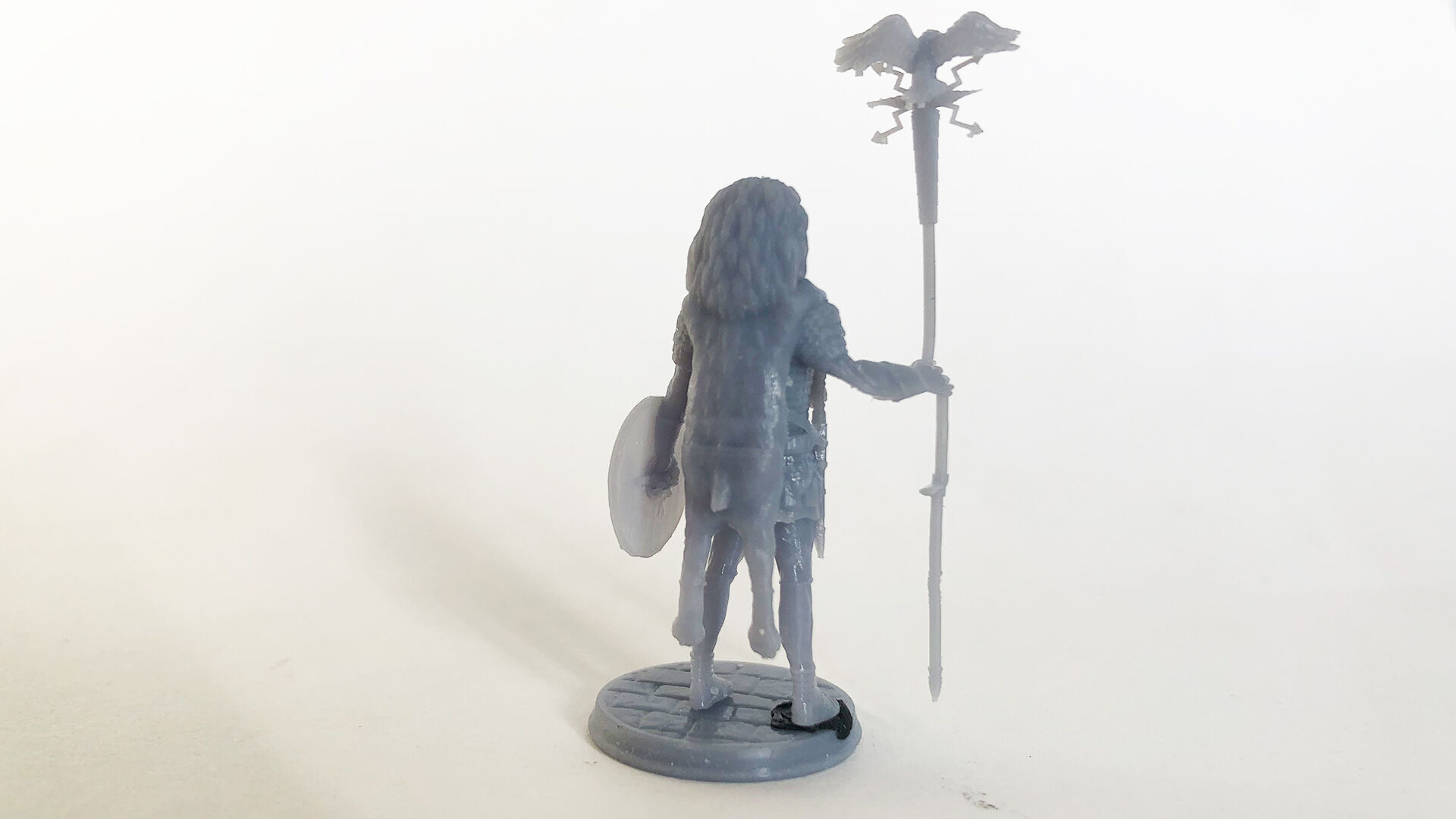 AQUILIFER 1 3D print model_4