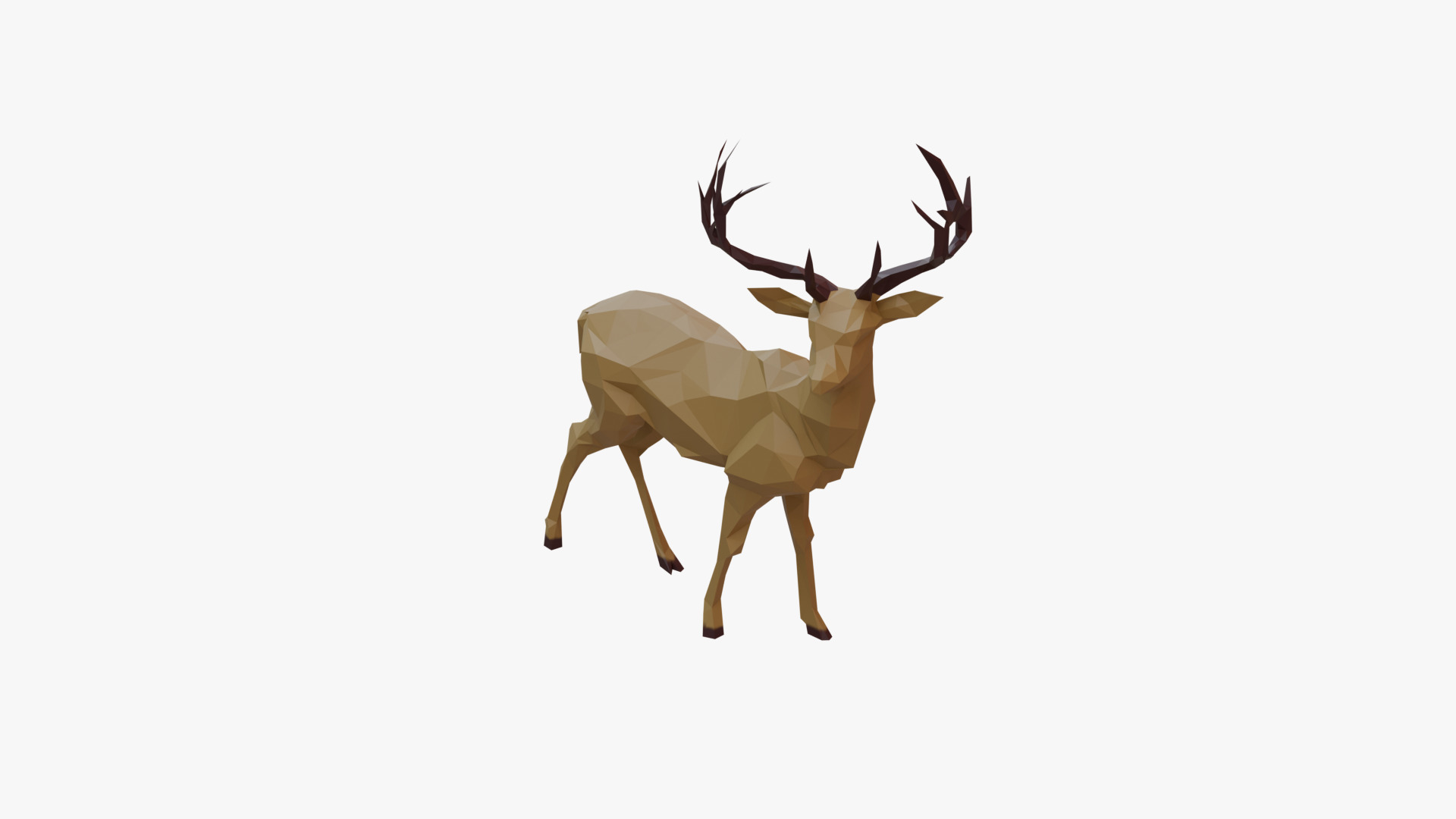 Deer low poly Low-poly 3D model_5
