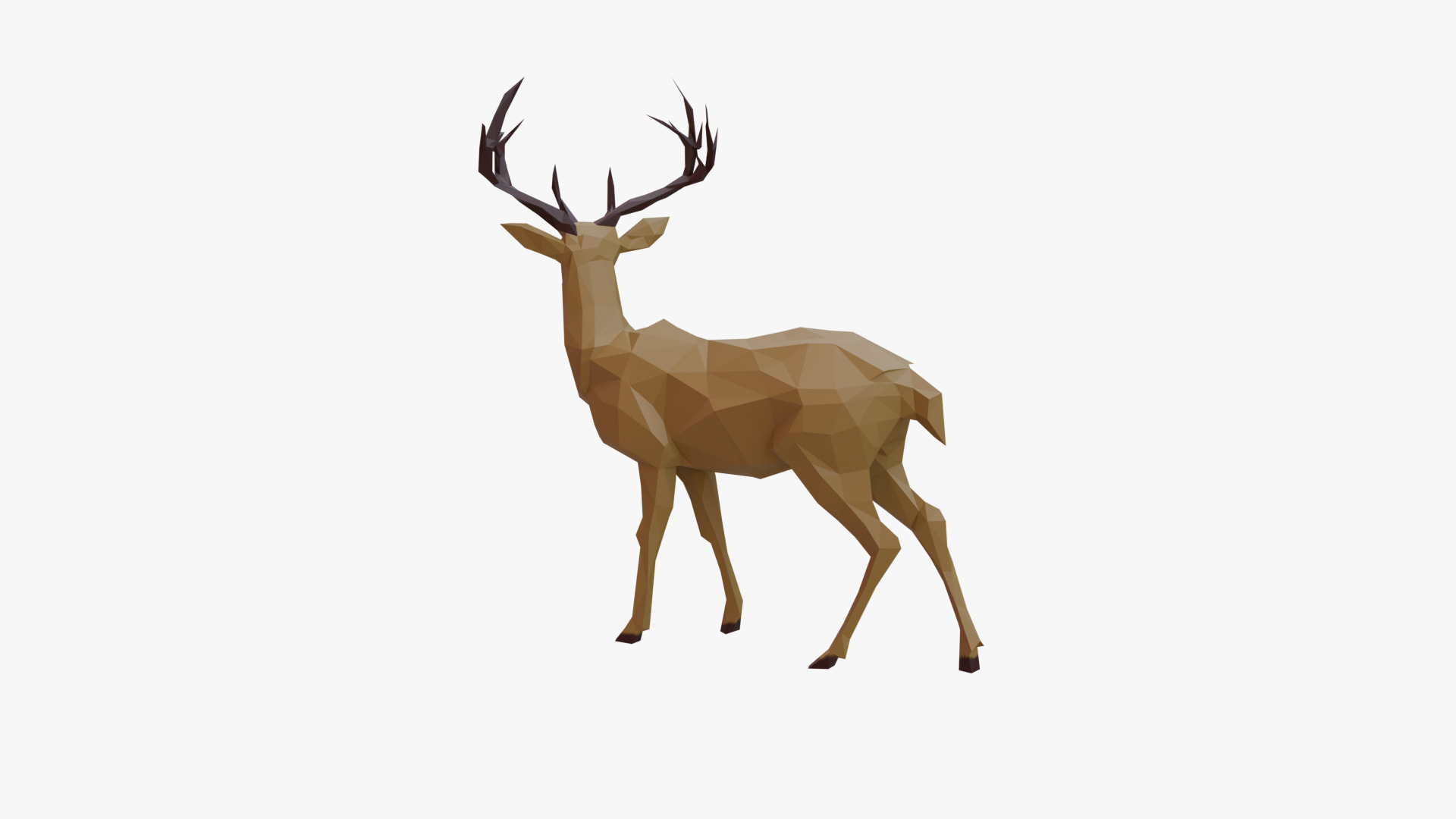 Deer low poly Low-poly 3D model_3