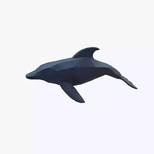 Dolphin low poly Low-poly 3D model