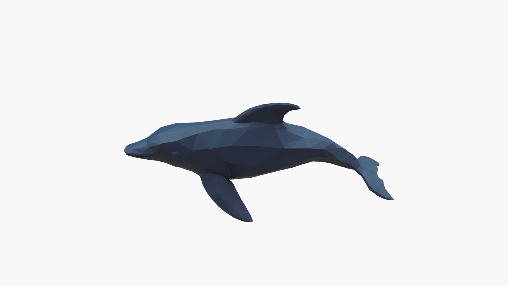 Dolphin low poly Low-poly 3D model_5