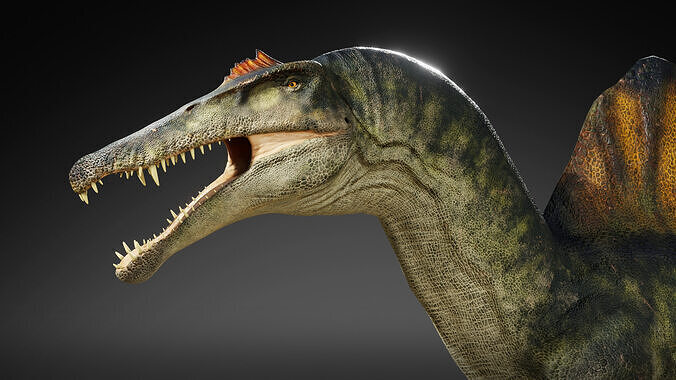Spinosaurus Rig Low-poly 3D model