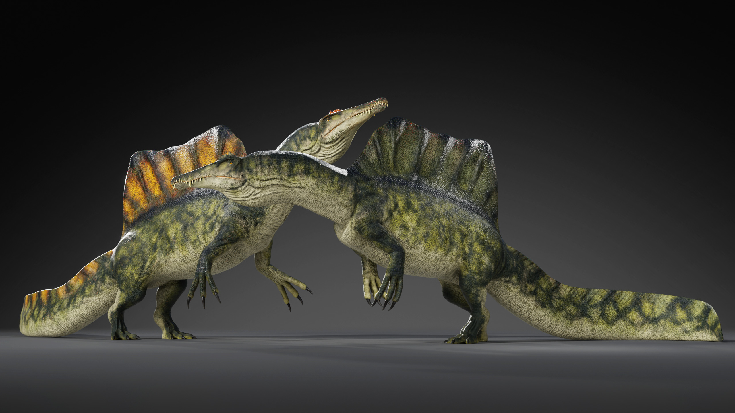 Spinosaurus Rig Low-poly 3D model_10