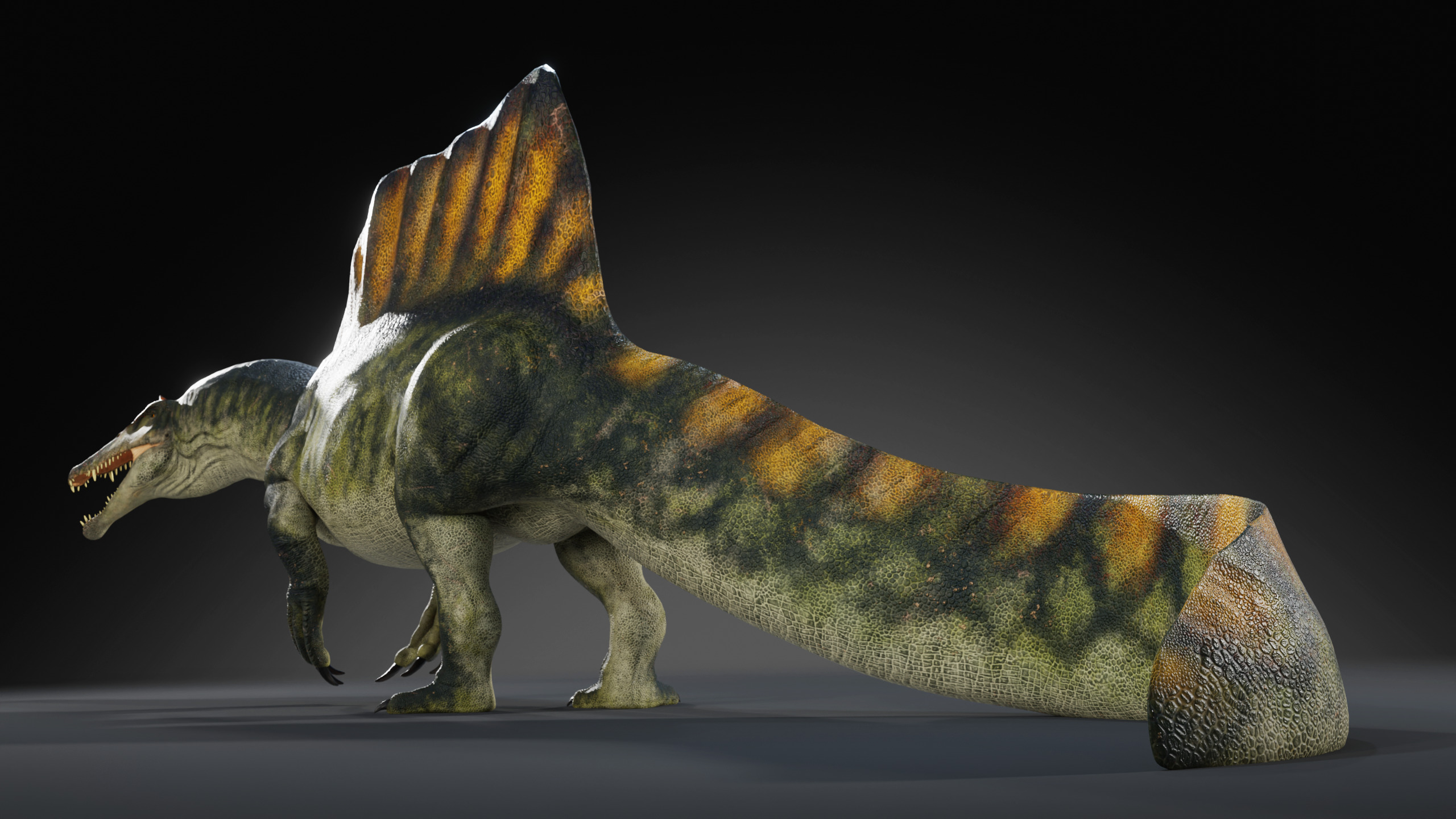 Spinosaurus Rig Low-poly 3D model_9