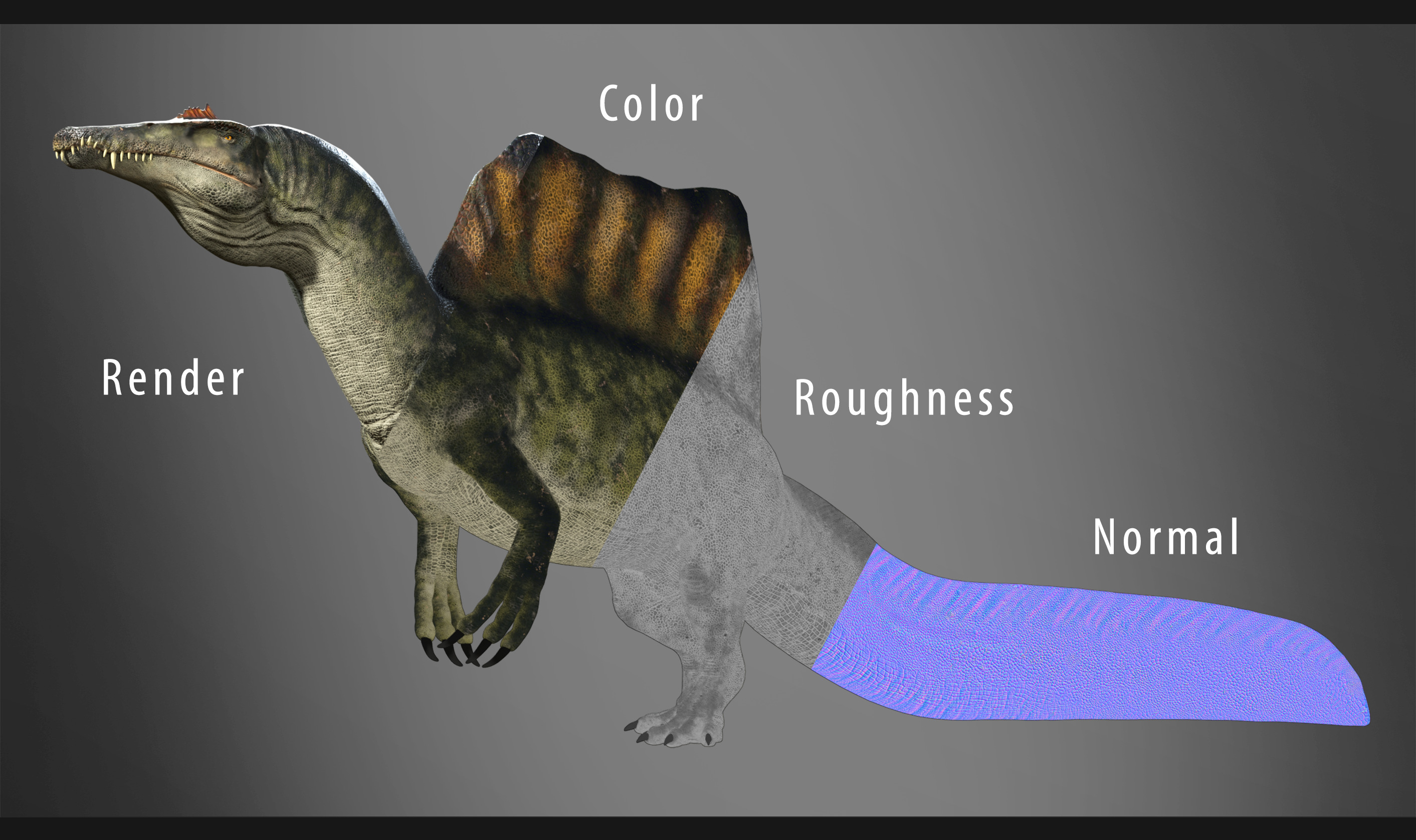 Spinosaurus Rig Low-poly 3D model_13