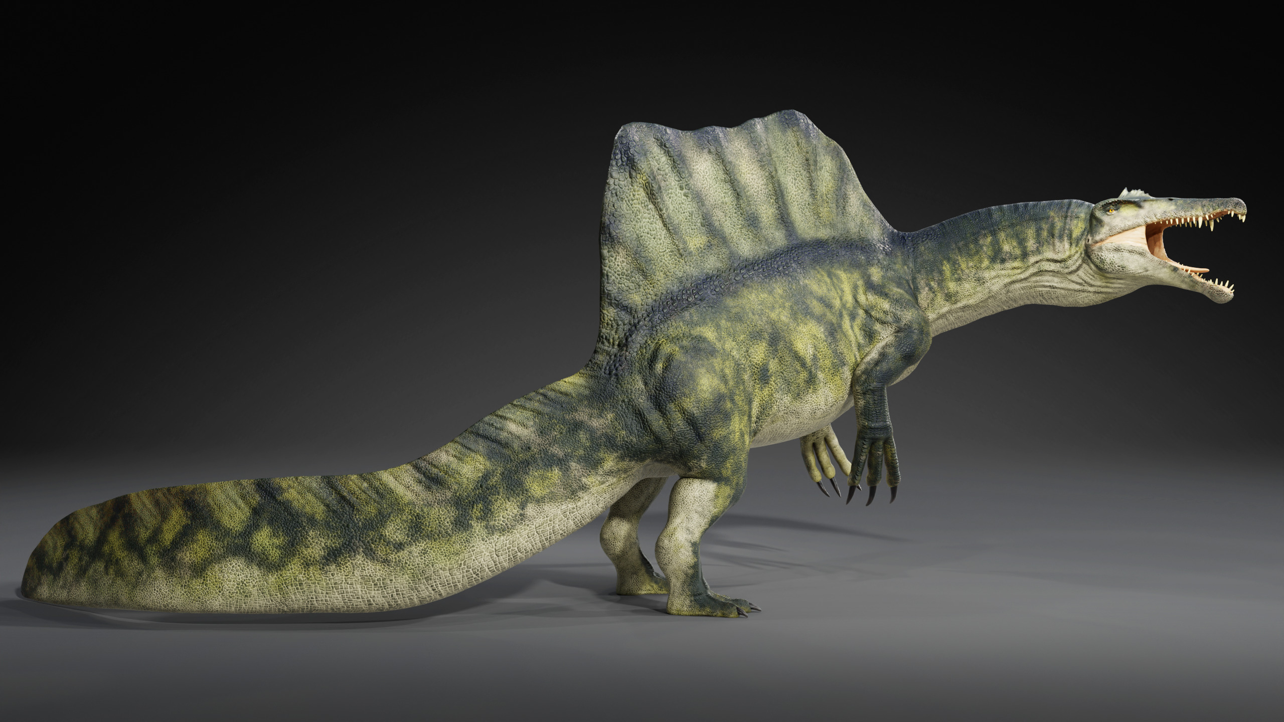 Spinosaurus Rig Low-poly 3D model_5