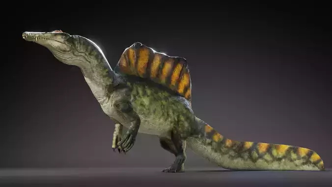 Spinosaurus Rig Low-poly 3D model