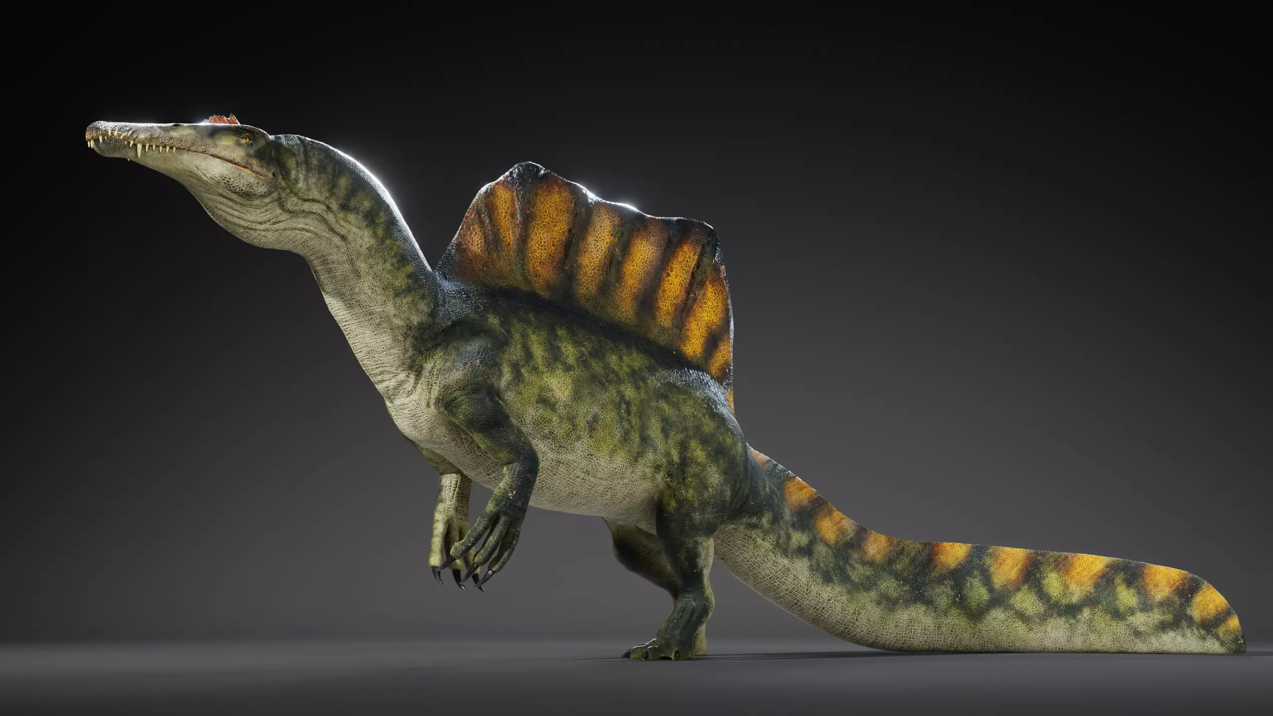 Spinosaurus Rig Low-poly 3D model_0