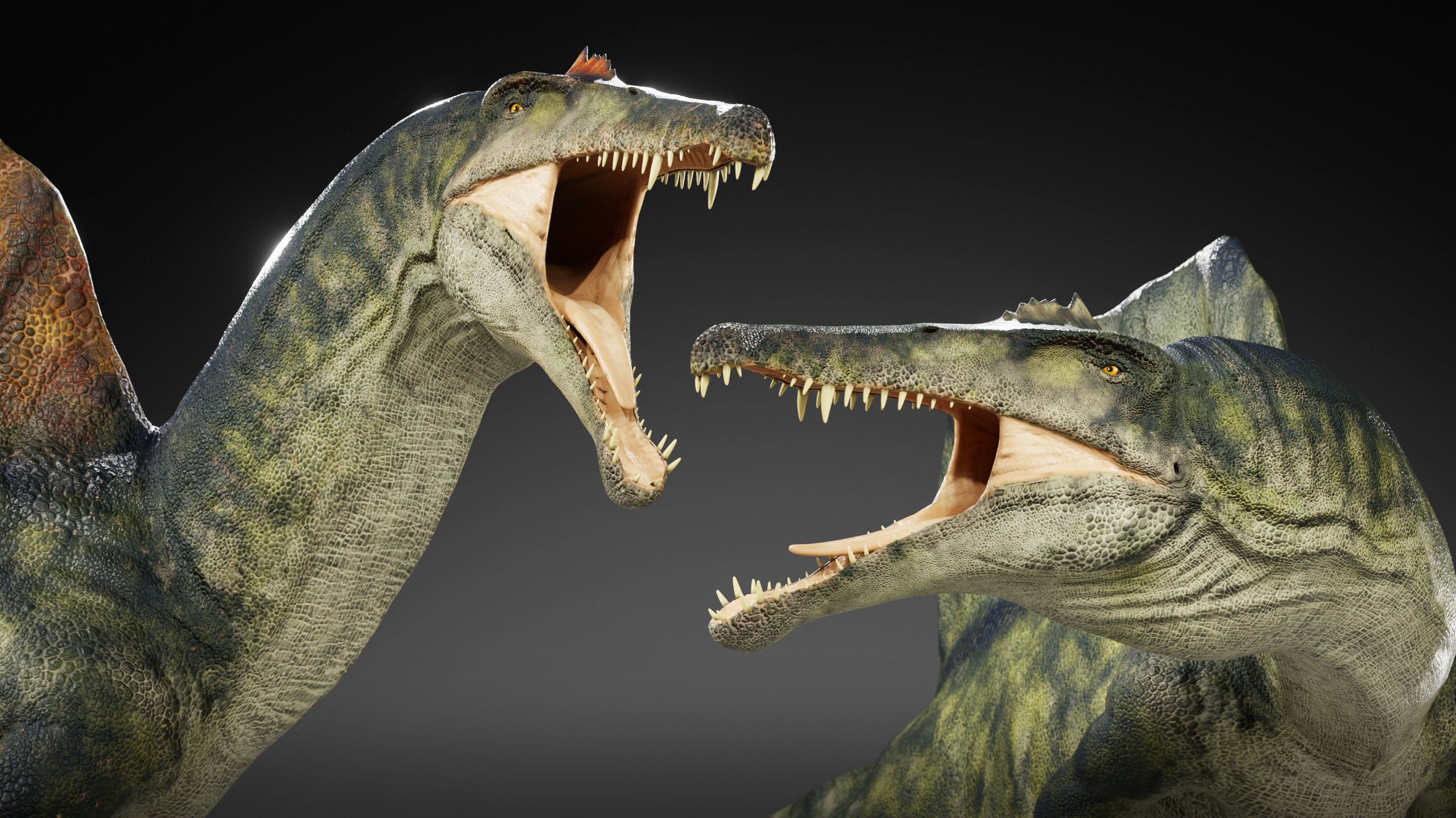 Spinosaurus Rig Low-poly 3D model_3