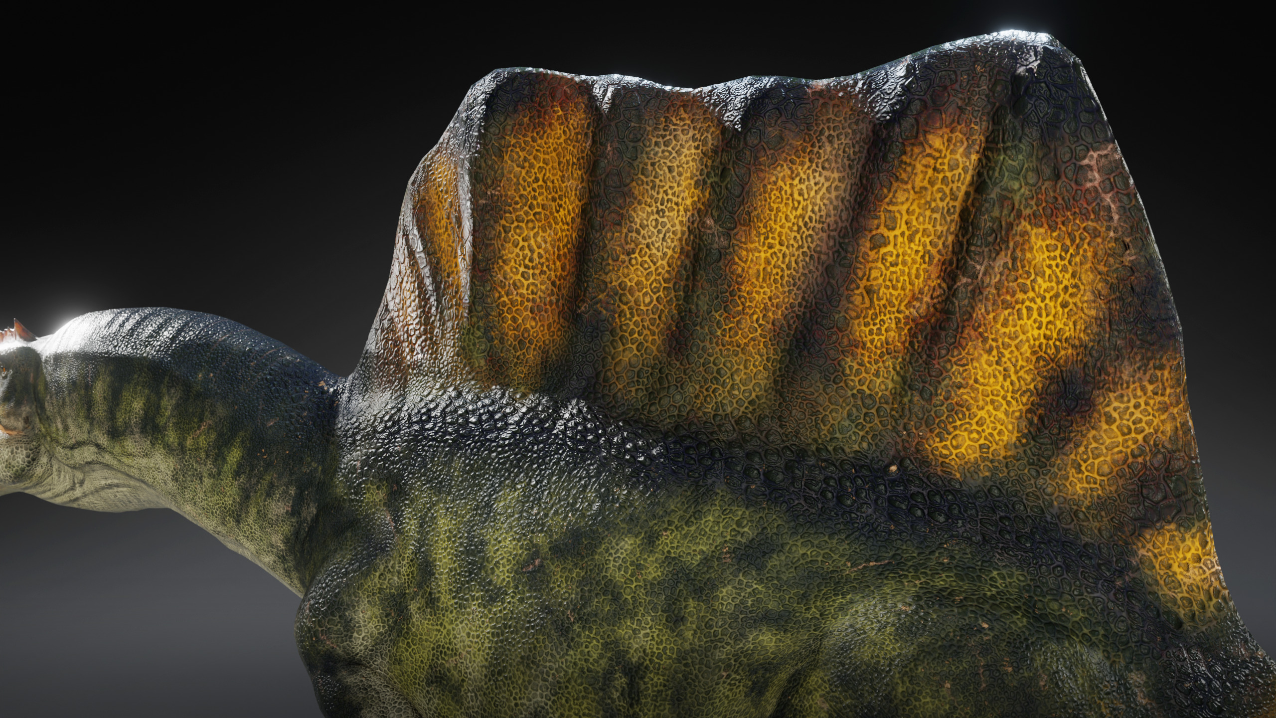 Spinosaurus Rig Low-poly 3D model_7