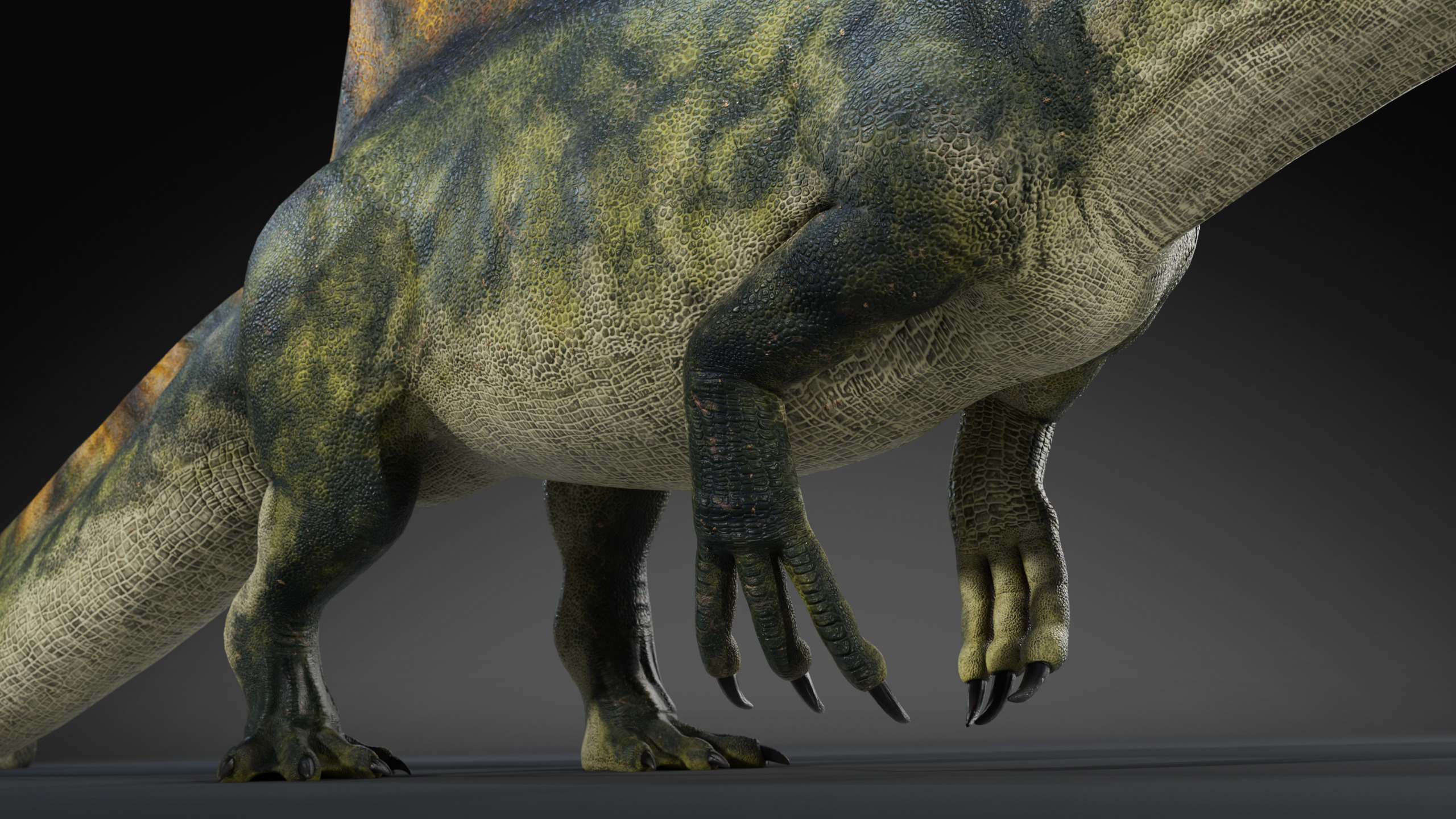 Spinosaurus Rig Low-poly 3D model_8