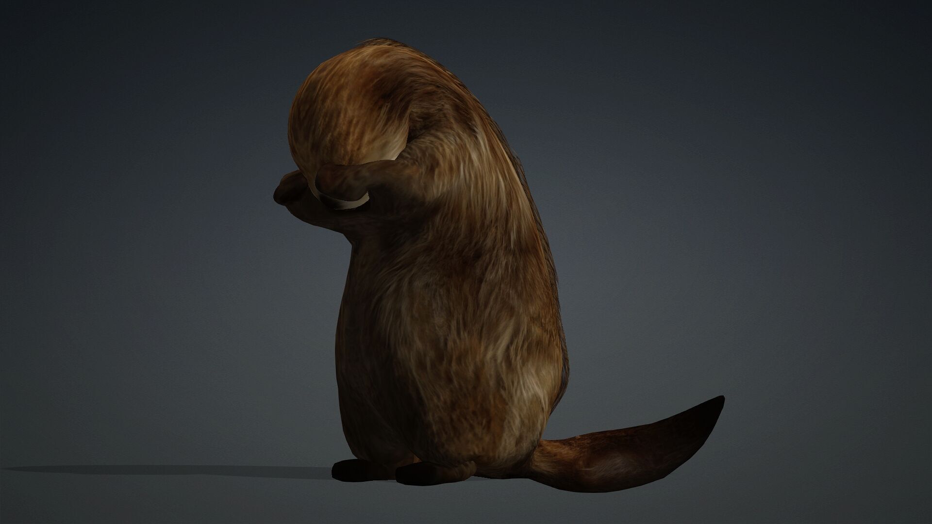 Otter-A2 3D model_15