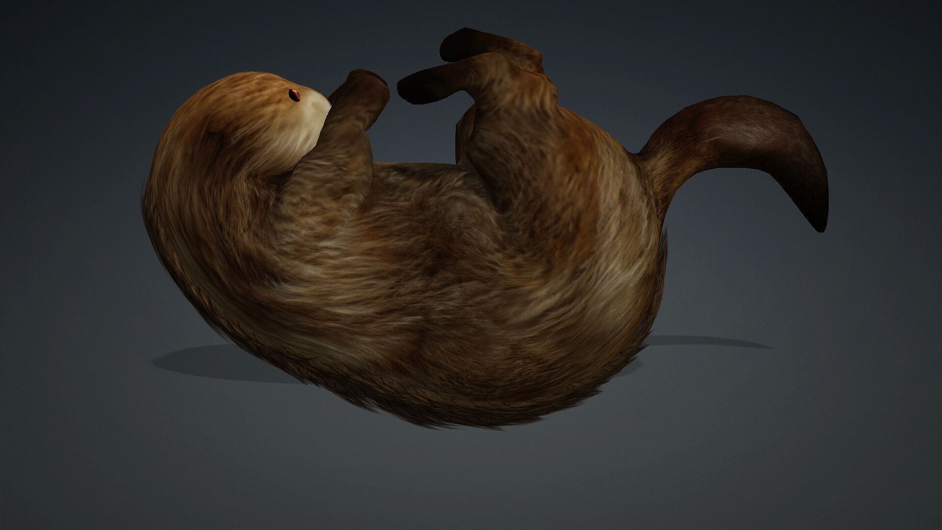 Otter-A2 3D model_6
