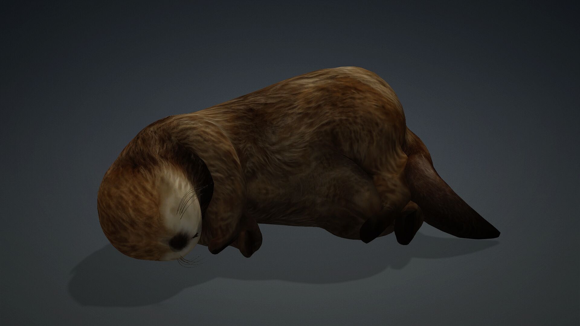 Otter-A2 3D model_16