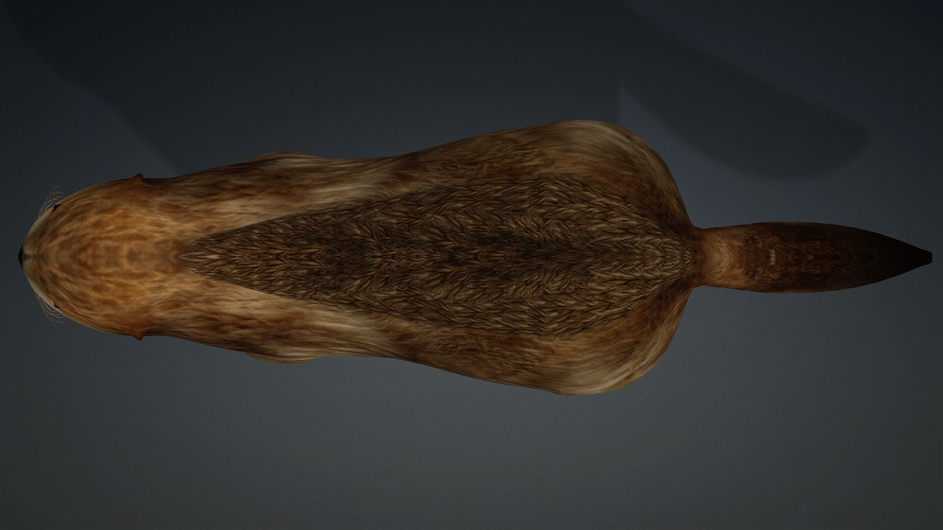 Otter-A2 3D model_12