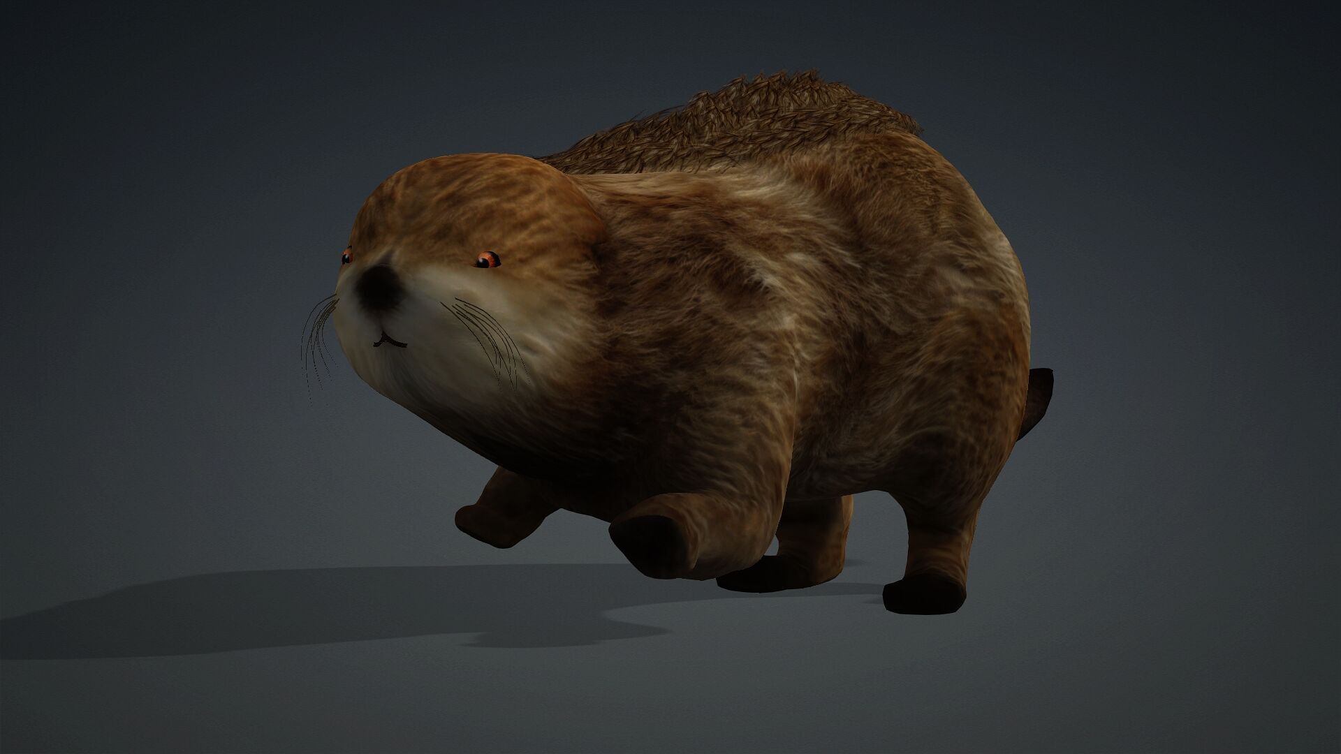 Otter-A2 3D model_17