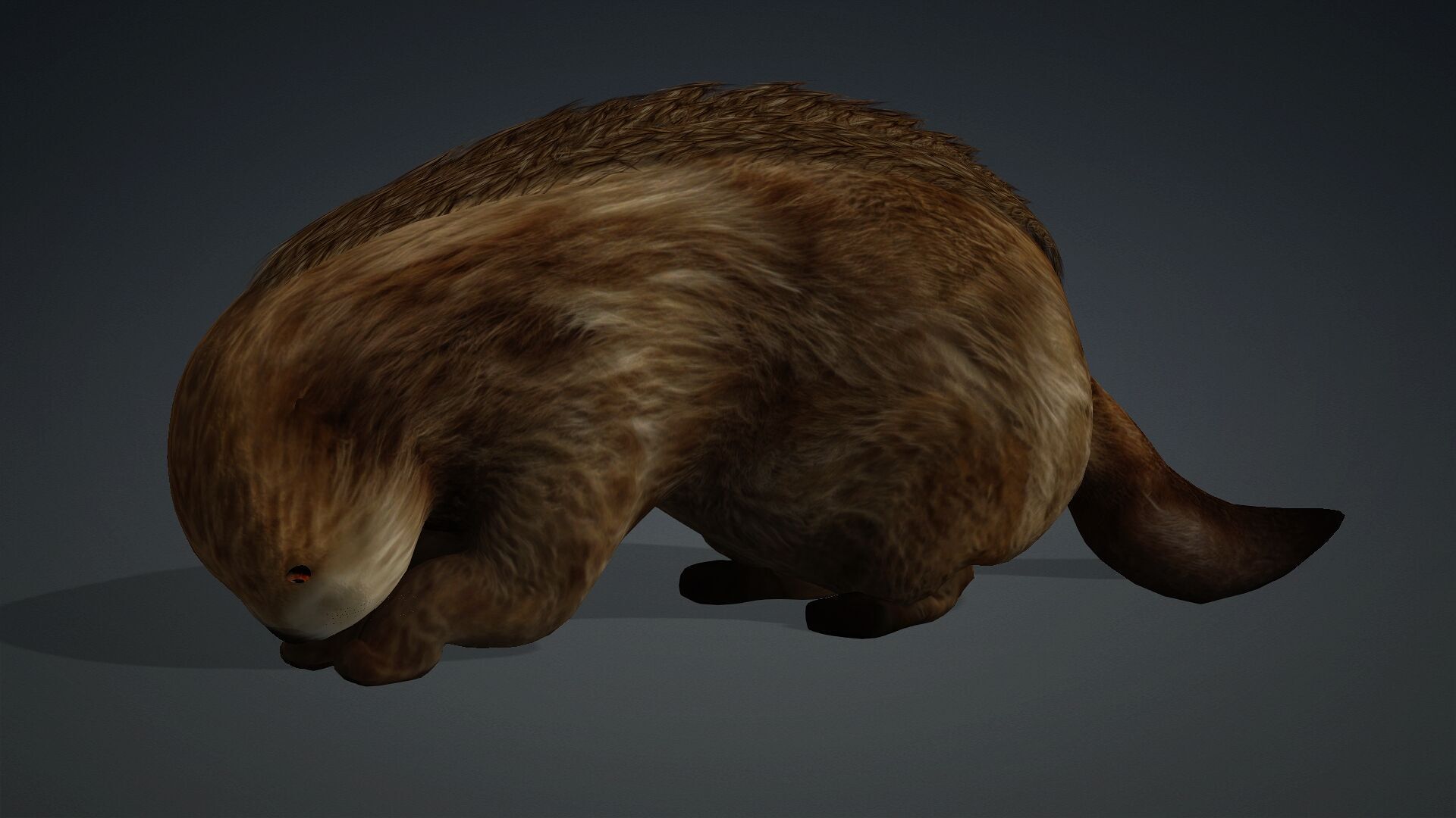 Otter-A2 3D model_13