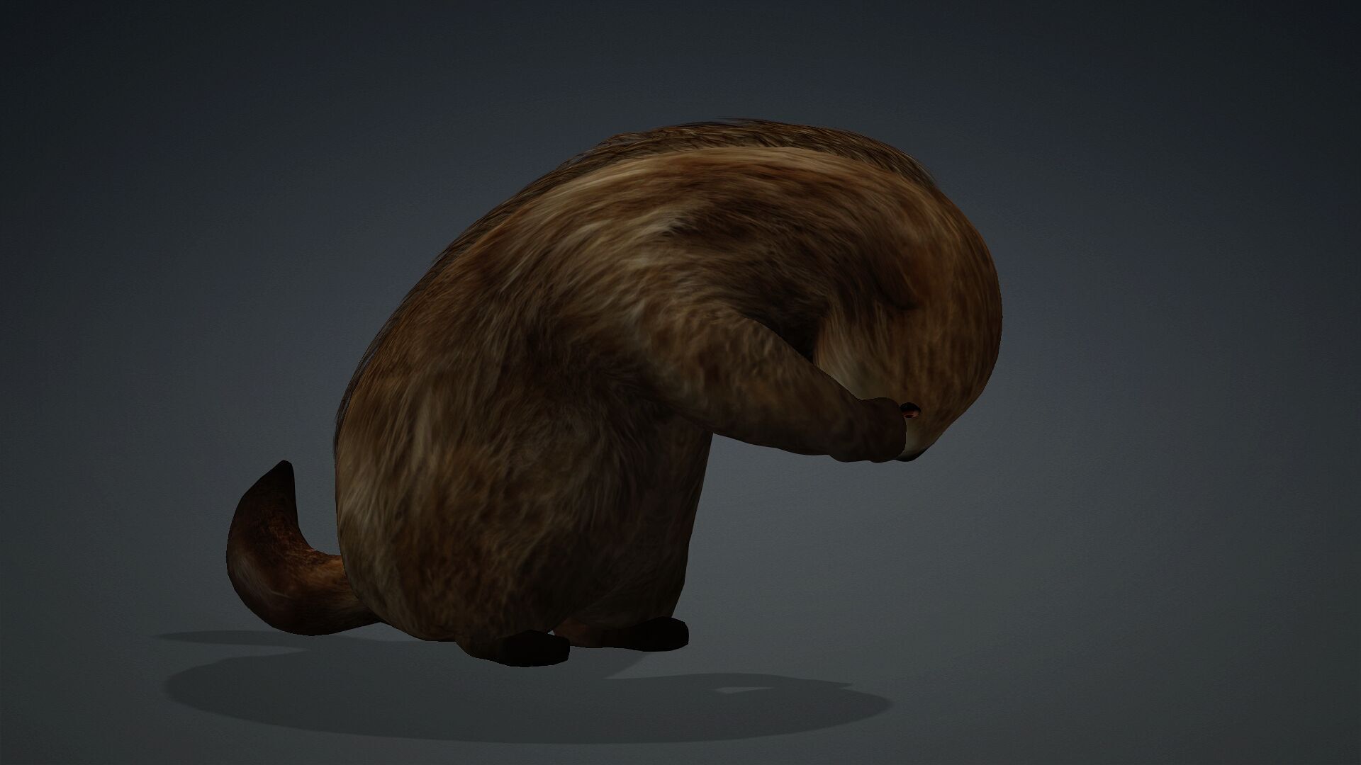 Otter-A2 3D model_14