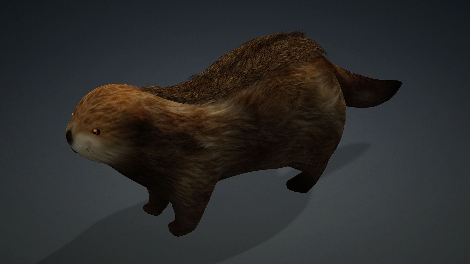 Otter-A2 3D model_11